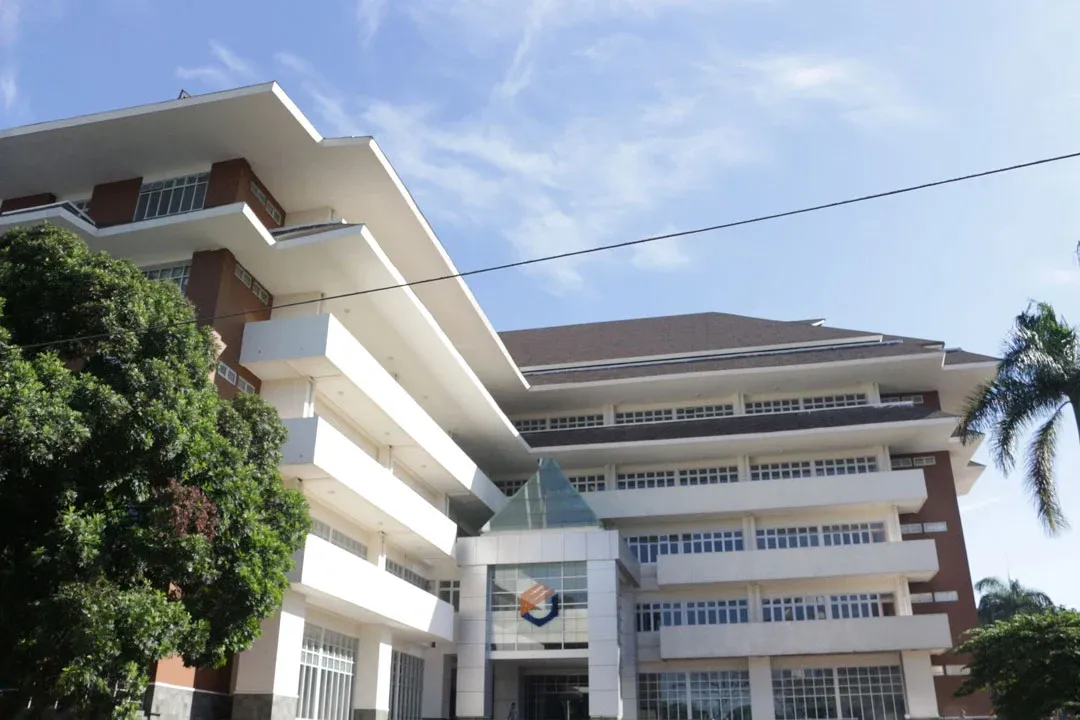 Background educaiton section